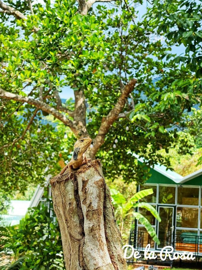 Homestay De La Rosa - Con Dao Chi Khu Co Ong Exteriér fotografie